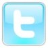 Twitter @lupdibailotti By: lupdibailotti.it